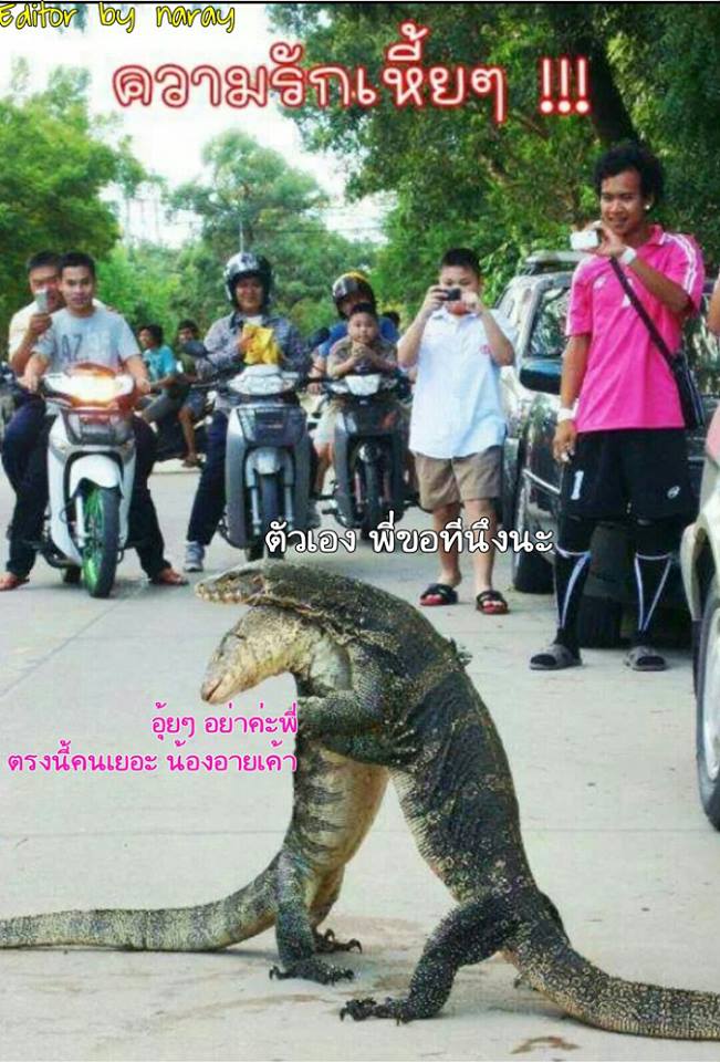 ฮาาาา..เฮี้ยๆ