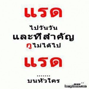 สัตว์น่ารัก ยุคนี้