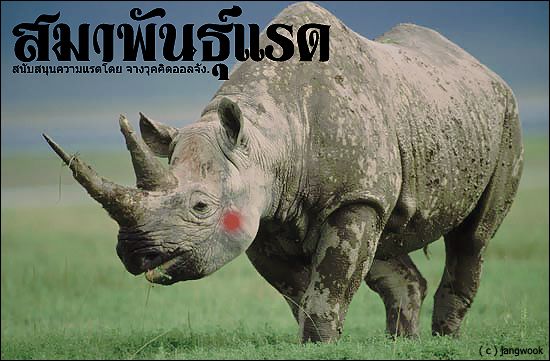 สัตว์น่ารัก ยุคนี้
