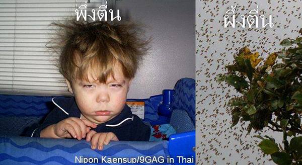 ขำไป...ขำมา