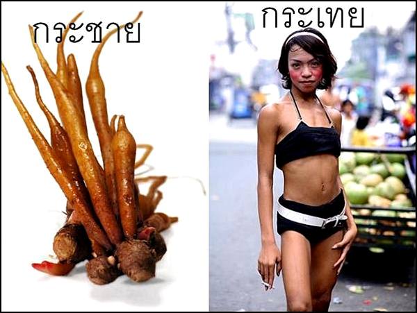 ขำไป...ขำมา