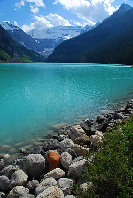 A beautiful World 31