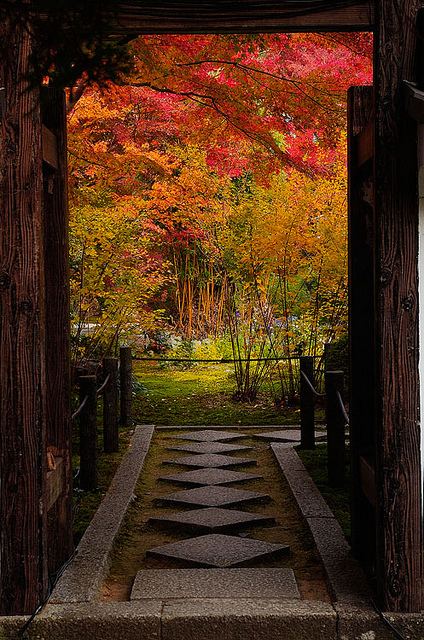 A beautiful World 31