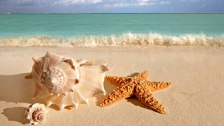 หาดสวย สำหรับคู่รัก