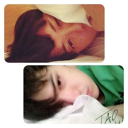 เต๋ากะคชาคู่กัน