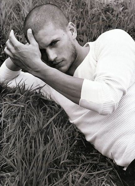 "Wentworth Miller" พระเอกจากซีรีส์สุดฮิต "Prison Break" ออกมายอมรับว่าเป็นเกย์