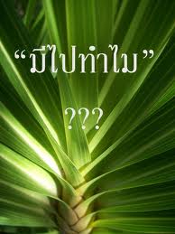 มีไปทำไม