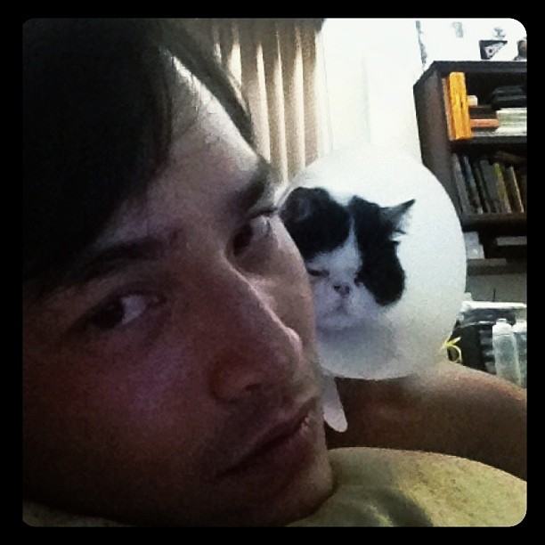 แอฟ สงกรานต์ กับลูกชายสุดซน แมวน้อยคอมพิวเตอร์