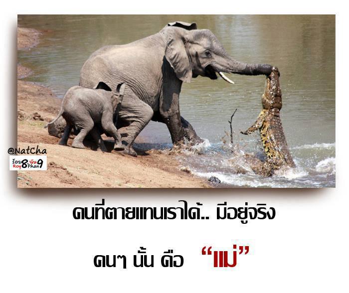 ครื้นเครงไปวันๆ