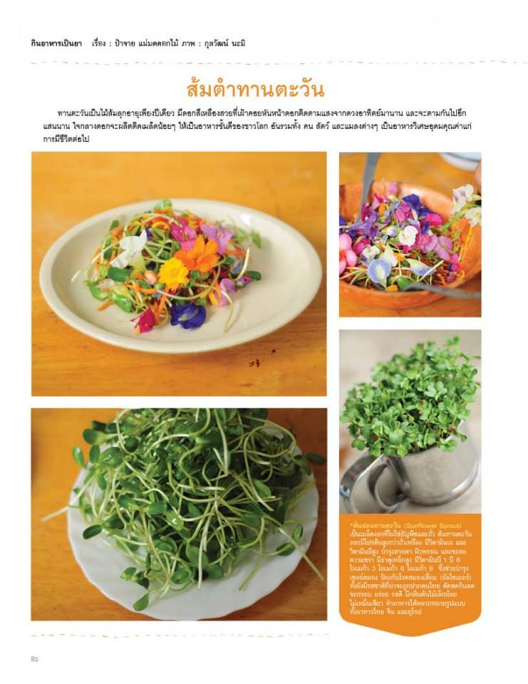 นิตยสารแฮปปี้พลัส เล่ม 11 (ก.ย. 56)
