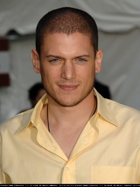 พระเอก "Prison Break" ช็อกแฟนๆ เปิดเผยตัว"เป็นเกย์"