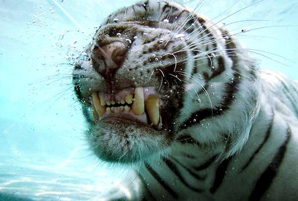 มุมภาพสวย..แปลกตา