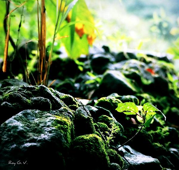 มุมภาพสวย..แปลกตา