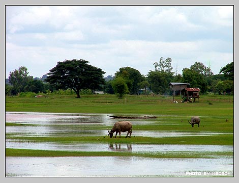 บ้านไร่ ชายทุ่ง^^