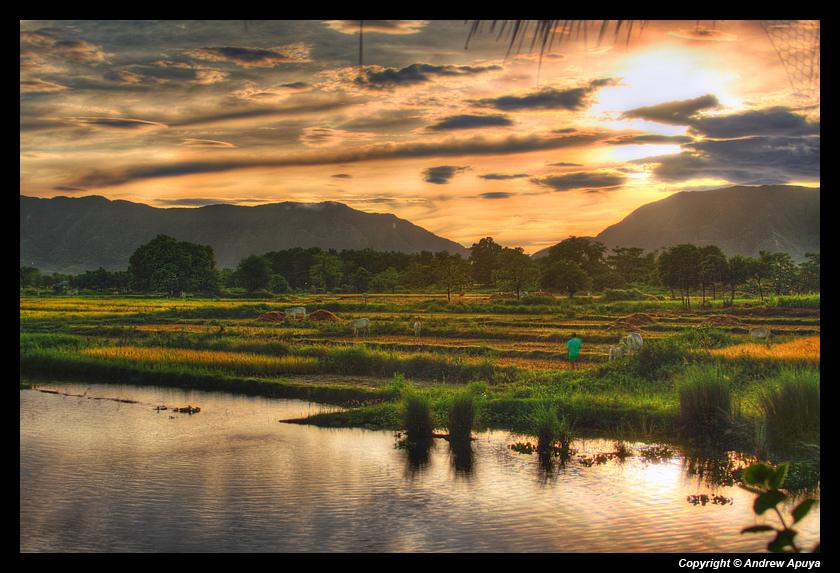 บ้านไร่ ชายทุ่ง^^