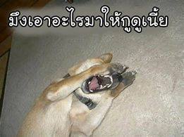 รูปคอมเม้น
