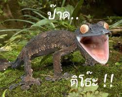 รูปคอมเม้น