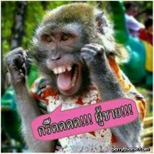 รูปคอมเม้น