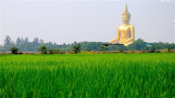พระพุทธรูปองค์ใหญ่ที่สุดในโลก!!!