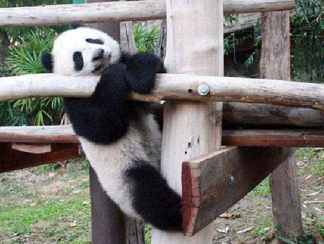 ลืมหลิน...แล้วหรา