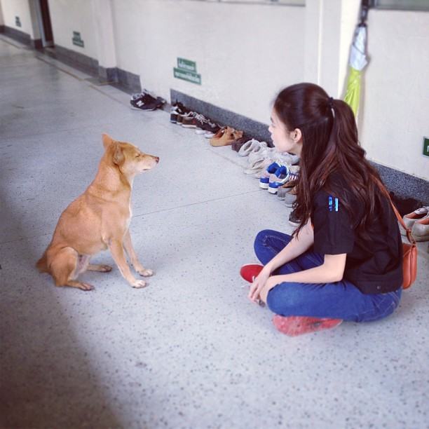 ใครเป็นใคร ใน ig