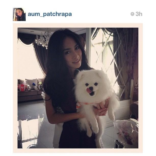 ใครเป็นใคร ใน ig