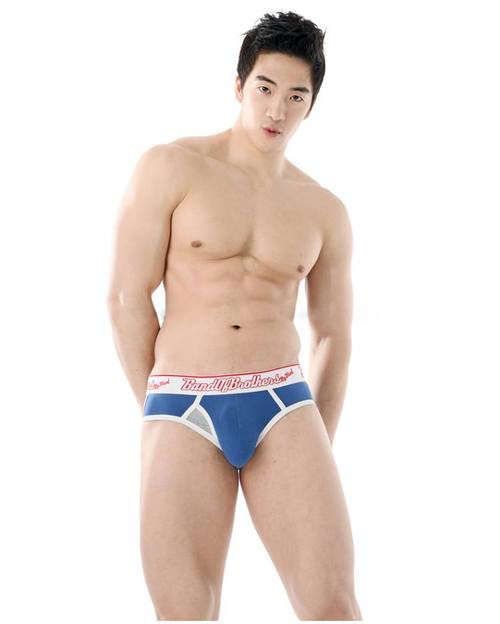 พ่อหมีขาว