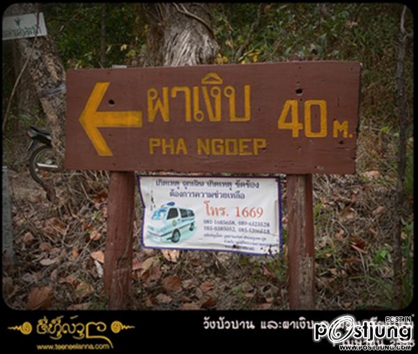 ฮา แปลก  เงิบๆ