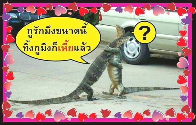 ขำฮาแปลก