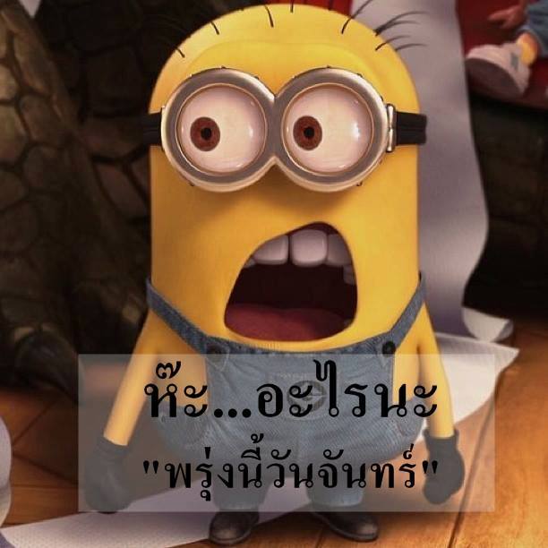 โดนสัสๆ