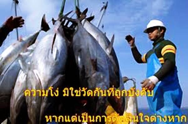 คำคมโง่หรือฉลาด ดูได้จากคำพูด