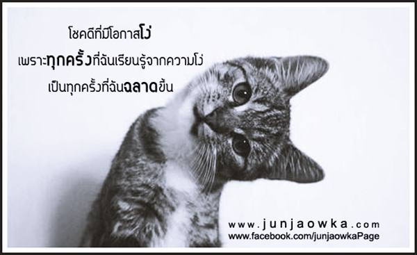 คำคมโง่หรือฉลาด ดูได้จากคำพูด