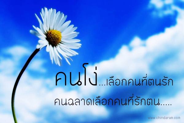 คำคมโง่หรือฉลาด ดูได้จากคำพูด