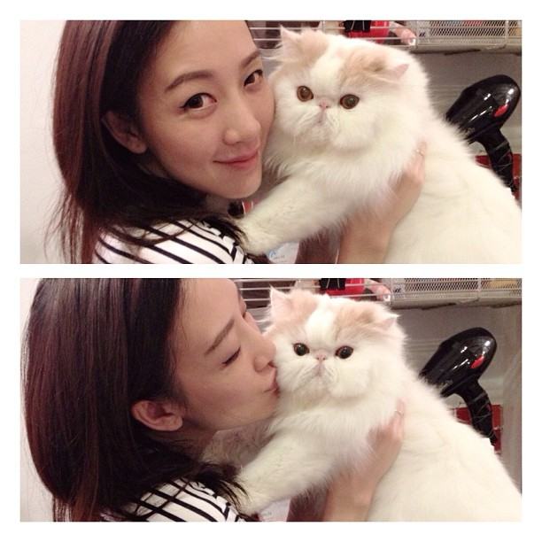 นี่ล่ะค่า คุณ ตู่ ปิยวดี มาลีนนท์ เจ้าของแมวน่ารักๆเหล่านี้