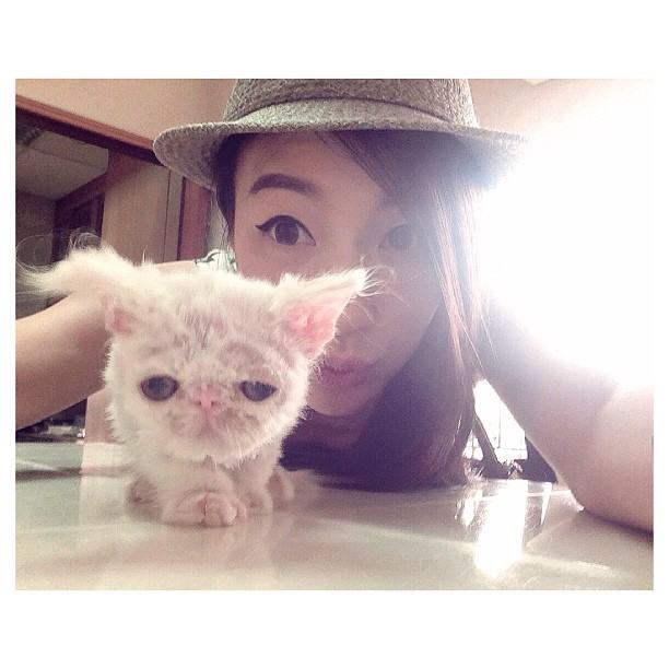 กรี๊ด!!! เอาใจคนรักแมวแบบจัดเต็มกับรูปแมวเปอร์เซียของคุณตู่ ปิยวดีผู้จัดละครสุดสวยของช่อง3 แมวน่ารักมร๊าก เข้ามาดูกันเลยจ้า(1)