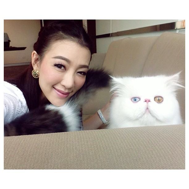 กรี๊ด!!! เอาใจคนรักแมวแบบจัดเต็มกับรูปแมวเปอร์เซียของคุณตู่ ปิยวดีผู้จัดละครสุดสวยของช่อง3 แมวน่ารักมร๊าก เข้ามาดูกันเลยจ้า(1)