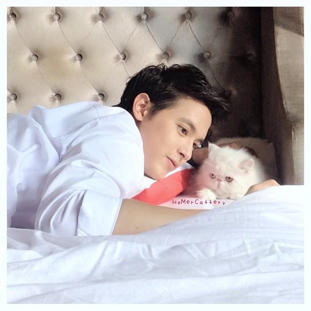 เจมส์จิก็รักแมวด้วยยยยย