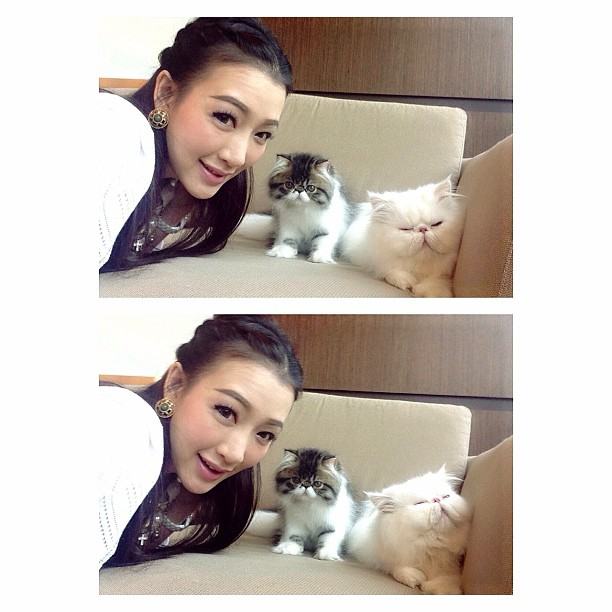 กรี๊ด!!! เอาใจคนรักแมวแบบจัดเต็มกับรูปแมวเปอร์เซียของคุณตู่ ปิยวดีผู้จัดละครสุดสวยของช่อง3 แมวน่ารักมร๊าก เข้ามาดูกันเลยจ้า(2)