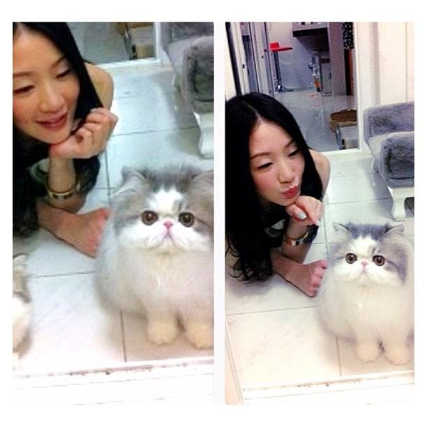 กรี๊ด!!! เอาใจคนรักแมวแบบจัดเต็มกับรูปแมวเปอร์เซียของคุณตู่ ปิยวดีผู้จัดละครสุดสวยของช่อง3 แมวน่ารักมร๊าก เข้ามาดูกันเลยจ้า(3)