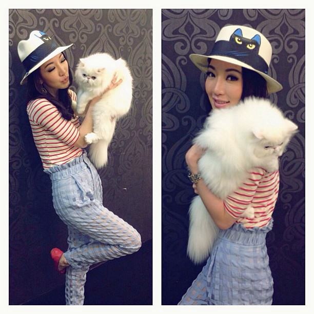 กรี๊ด!!! เอาใจคนรักแมวแบบจัดเต็มกับรูปแมวเปอร์เซียของคุณตู่ ปิยวดีผู้จัดละครสุดสวยของช่อง3 แมวน่ารักมร๊าก เข้ามาดูกันเลยจ้า(3)
