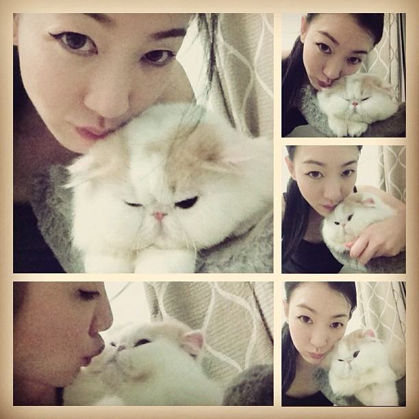 กรี๊ด!!! เอาใจคนรักแมวแบบจัดเต็มกับรูปแมวเปอร์เซียของคุณตู่ ปิยวดีผู้จัดละครสุดสวยของช่อง3 แมวน่ารักมร๊าก เข้ามาดูกันเลยจ้า(4)