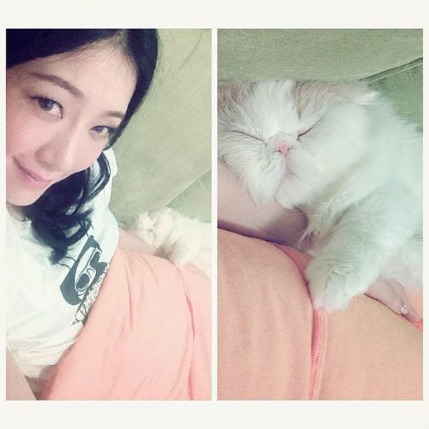 กรี๊ด!!! เอาใจคนรักแมวแบบจัดเต็มกับรูปแมวเปอร์เซียของคุณตู่ ปิยวดีผู้จัดละครสุดสวยของช่อง3 แมวน่ารักมร๊าก เข้ามาดูกันเลยจ้า(4)