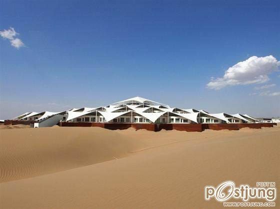 Desert lotus resort mongolia