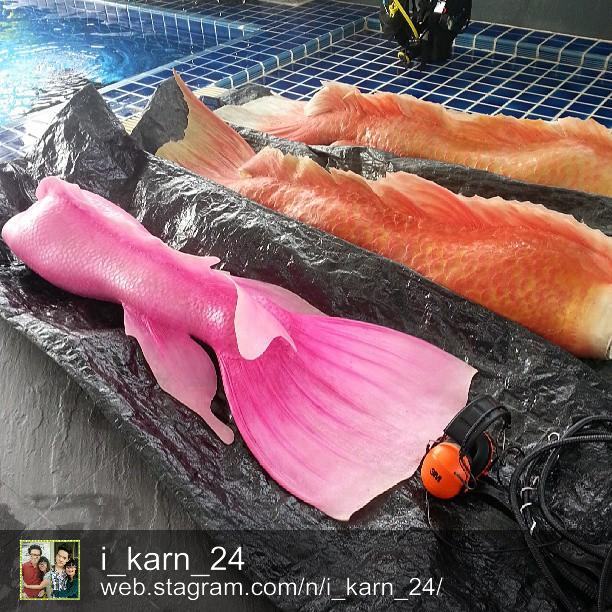 ชมพู ส้ม ส้ม ชมพู
