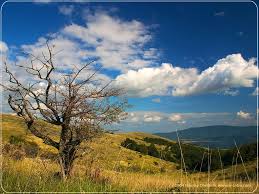 วิวทิวทัศน์สวยๆค่ะ