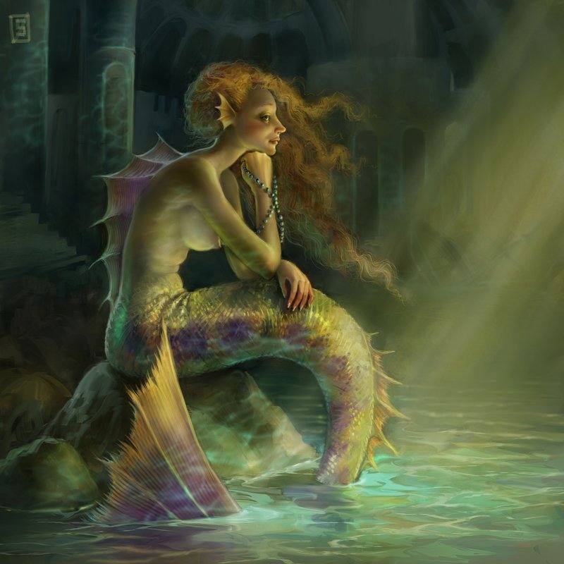 CUTE 1O7 (Mermaid)