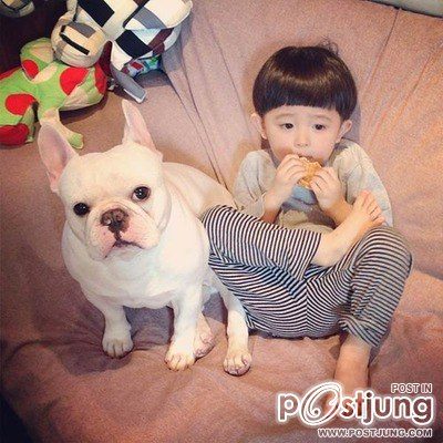 เพื่อนรักน้องหมา 2