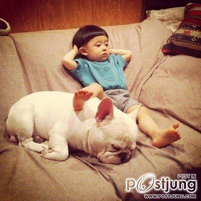 เพื่อนรักน้องหมา 2
