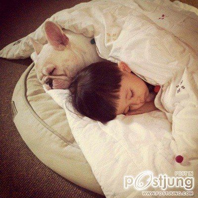 เพื่อนรักน้องหมา 2