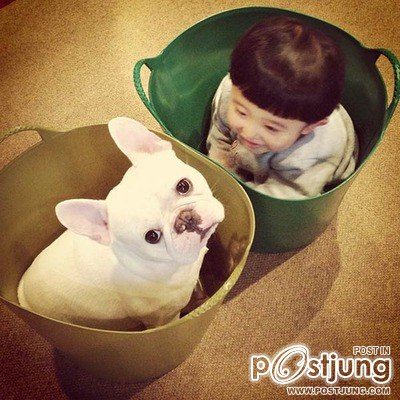 เพื่อนรักน้องหมา 2
